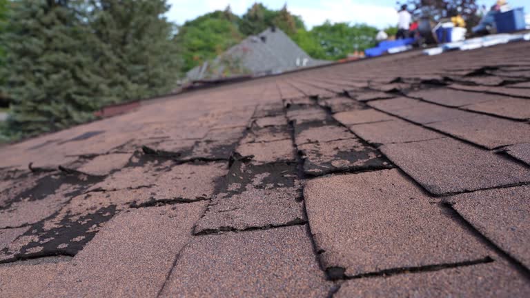 Emergency Roof Repair Services